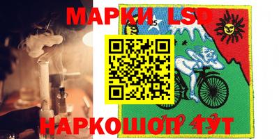 Альфа ПВП Обь