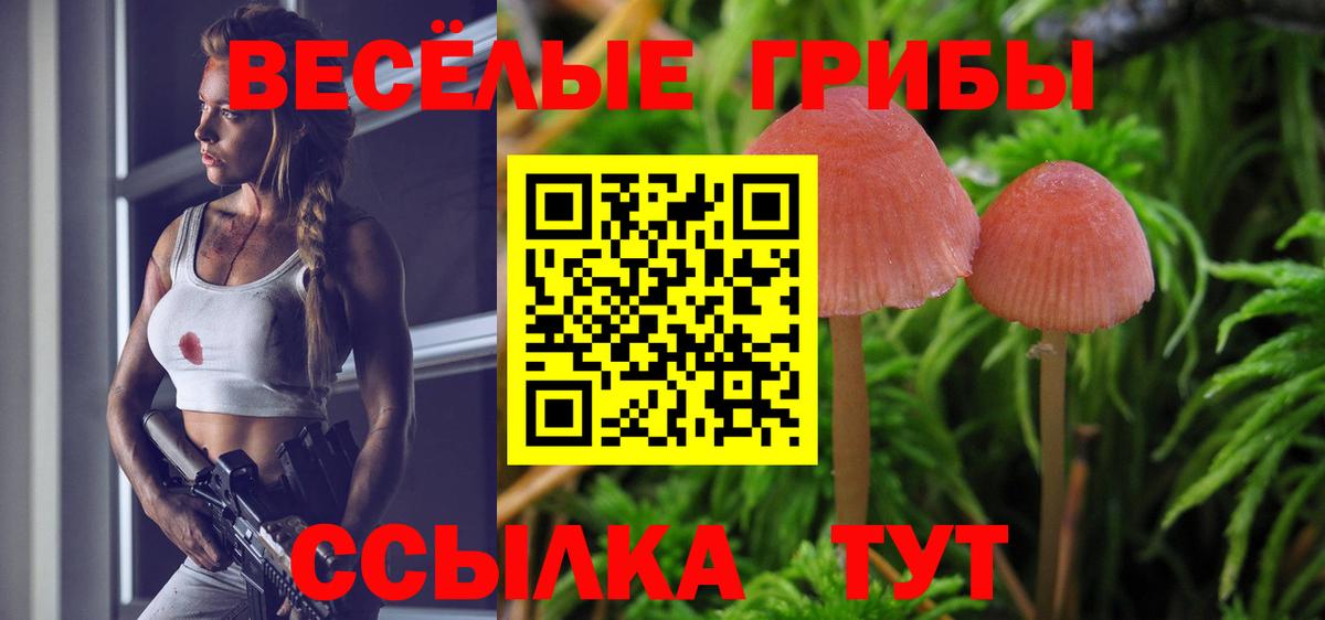 Галлюциногенные грибы мухоморы  Псилоцибиновые грибы прущие грибы  Сергиев Посад  Вход с VPN 